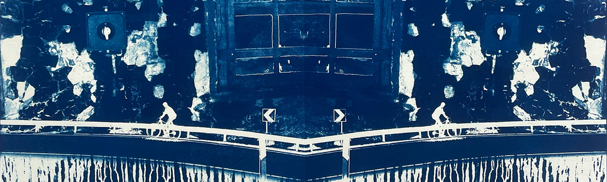 Cyanotypien von Katja Glänzel – Atelier DOCK4